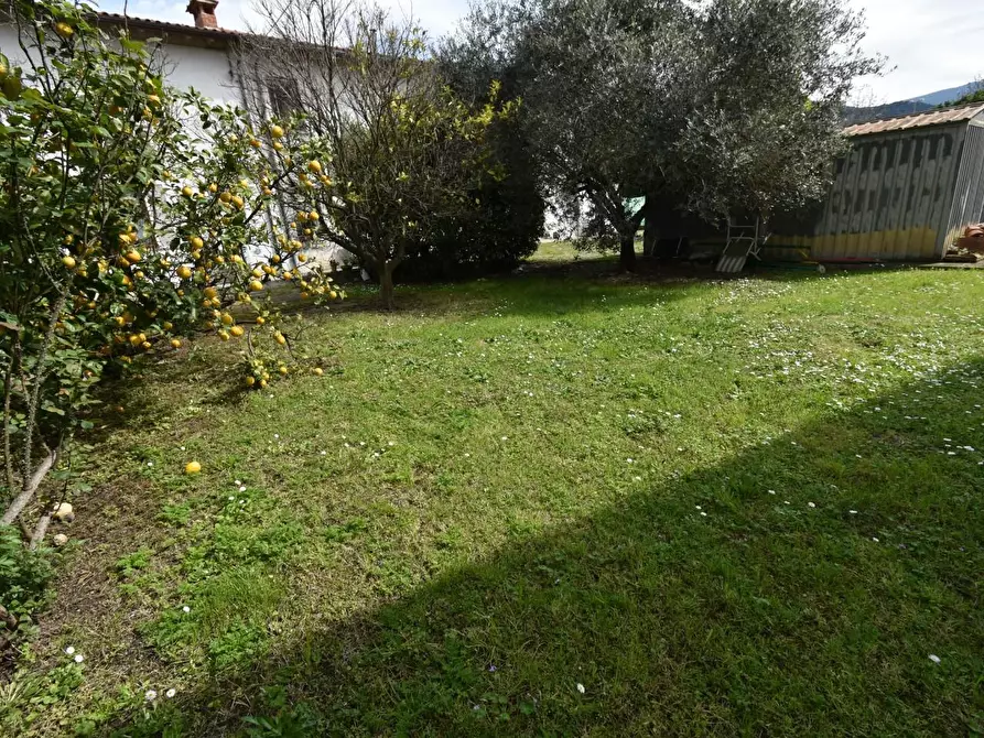 Immagine 35 di Casa colonica in vendita  a San Giuliano Terme