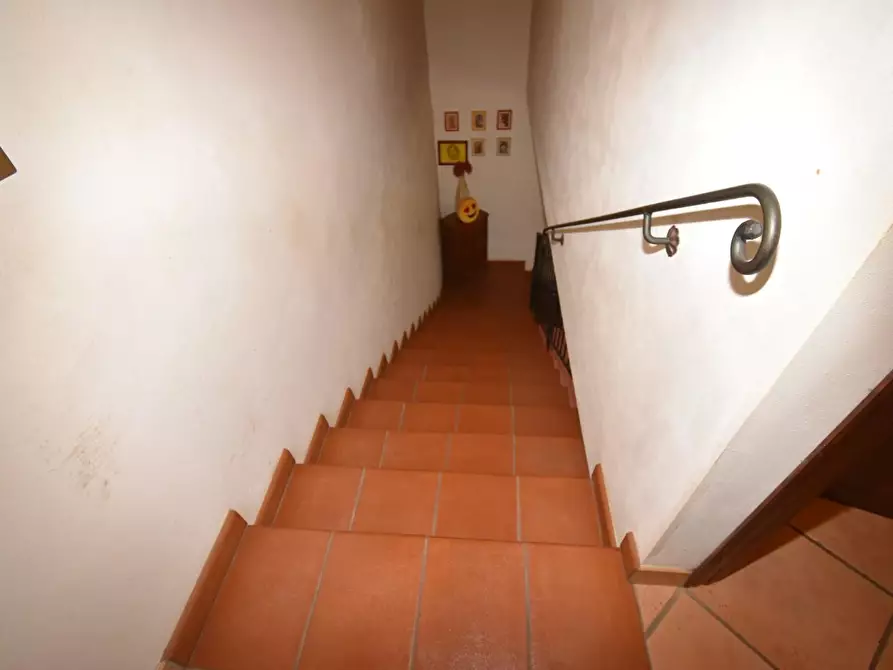 Immagine 14 di Casa colonica in vendita  a San Giuliano Terme