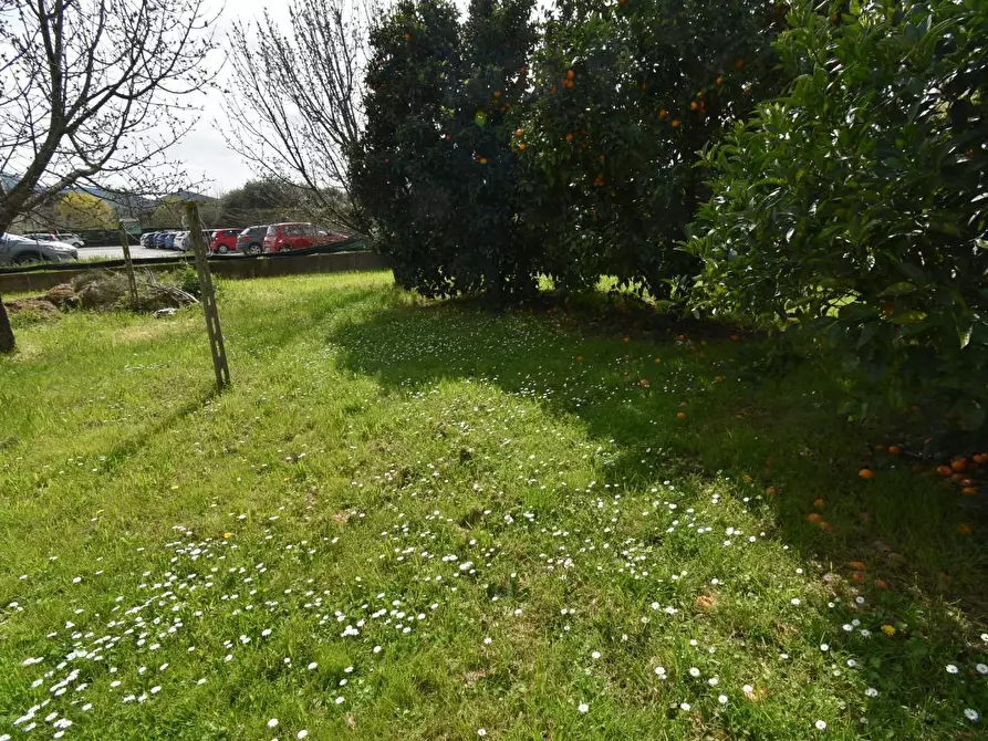 Immagine 67 di Casa colonica in vendita  a San Giuliano Terme