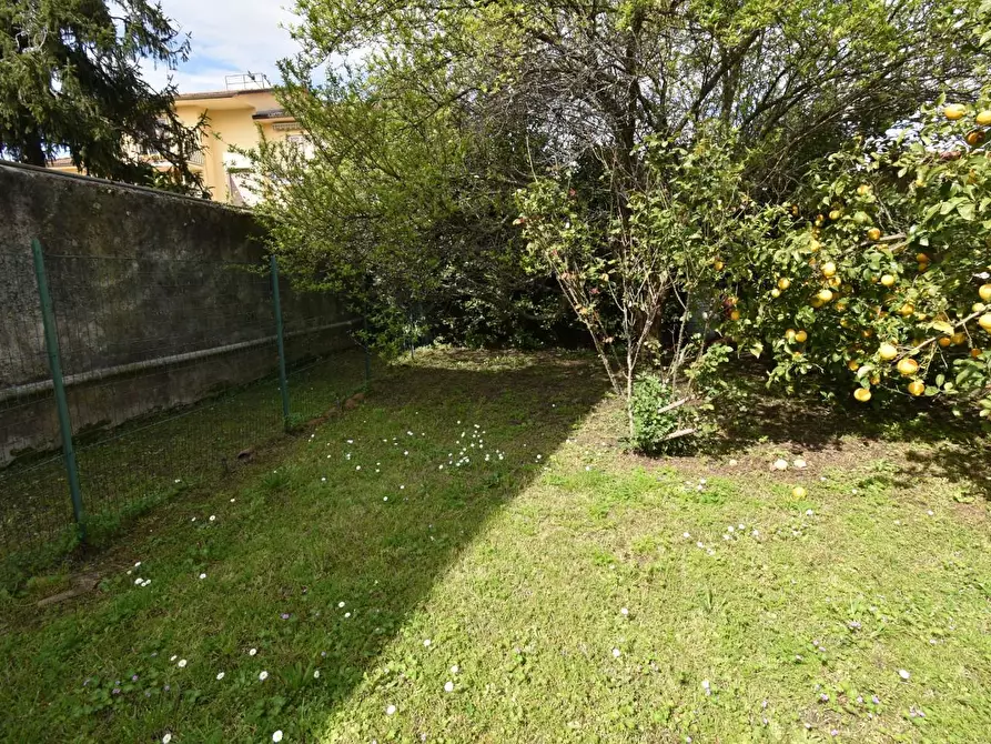 Immagine 33 di Casa colonica in vendita  a San Giuliano Terme