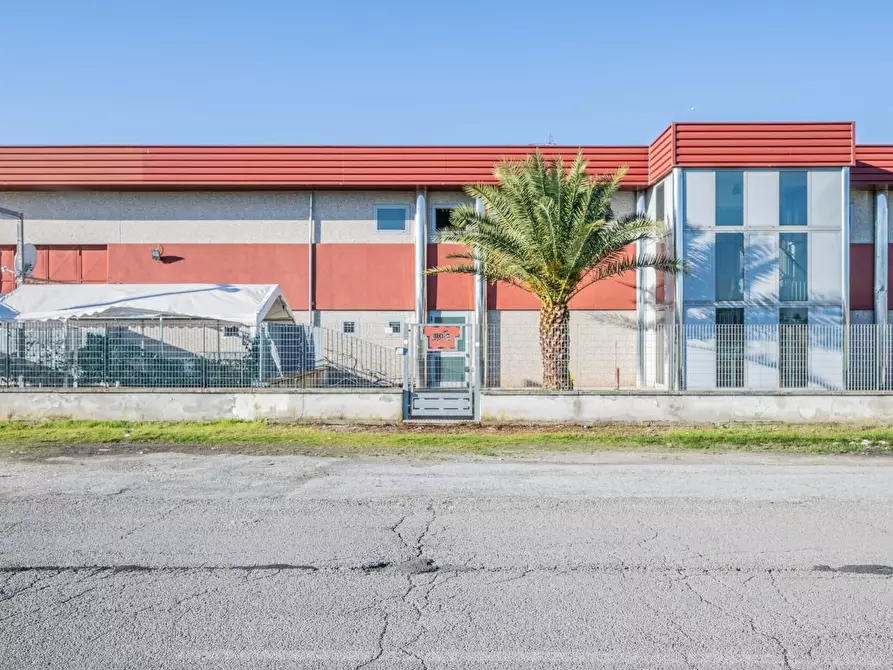 Immagine 75 di Attività artigianale in affitto  a Bientina