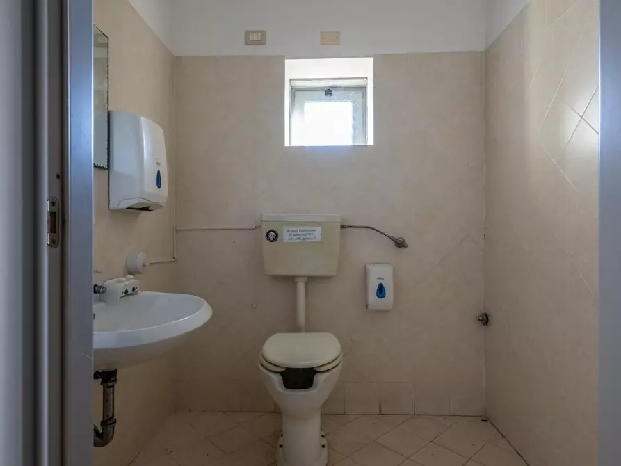 Immagine 65 di Attività artigianale in affitto  a Bientina