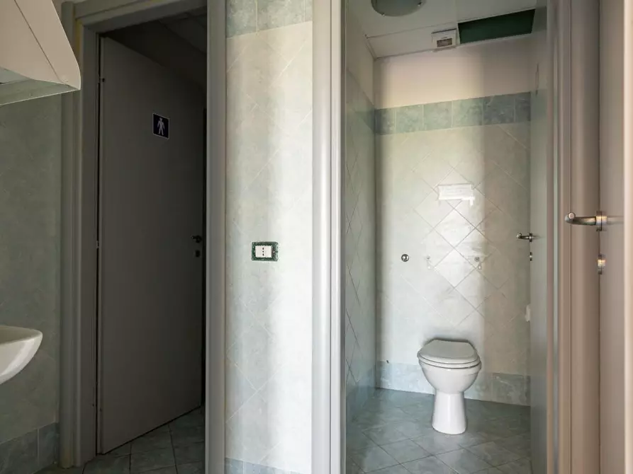 Immagine 45 di Attività artigianale in affitto  a Bientina