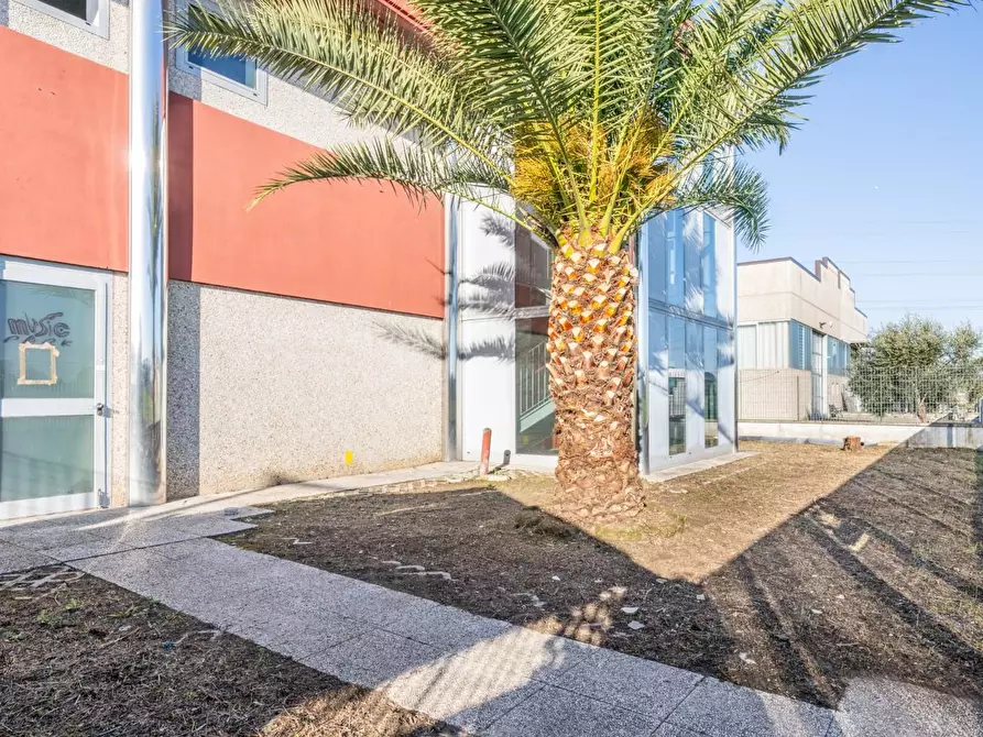 Immagine 74 di Attività artigianale in affitto  a Bientina