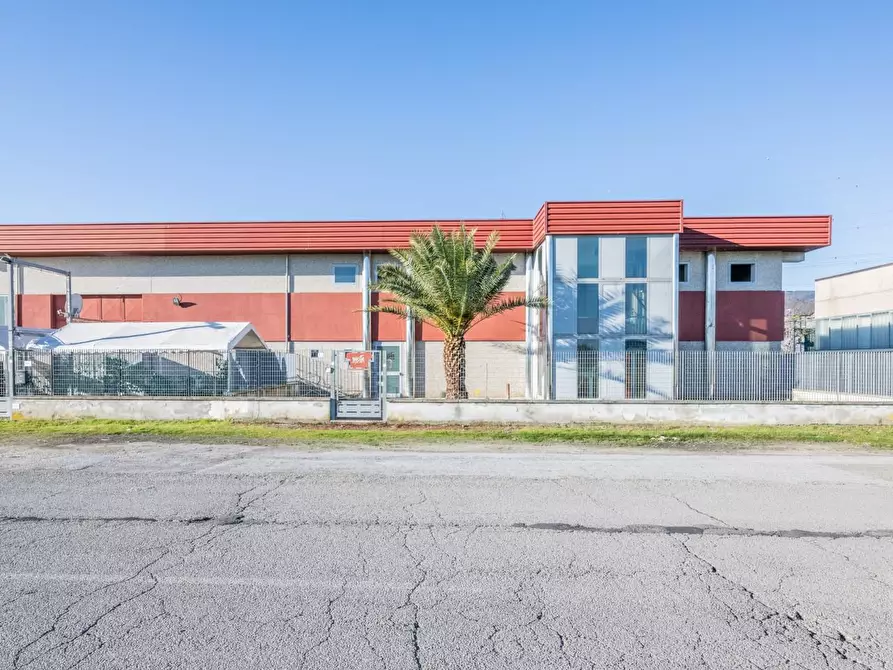 Immagine 76 di Attività artigianale in affitto  a Bientina