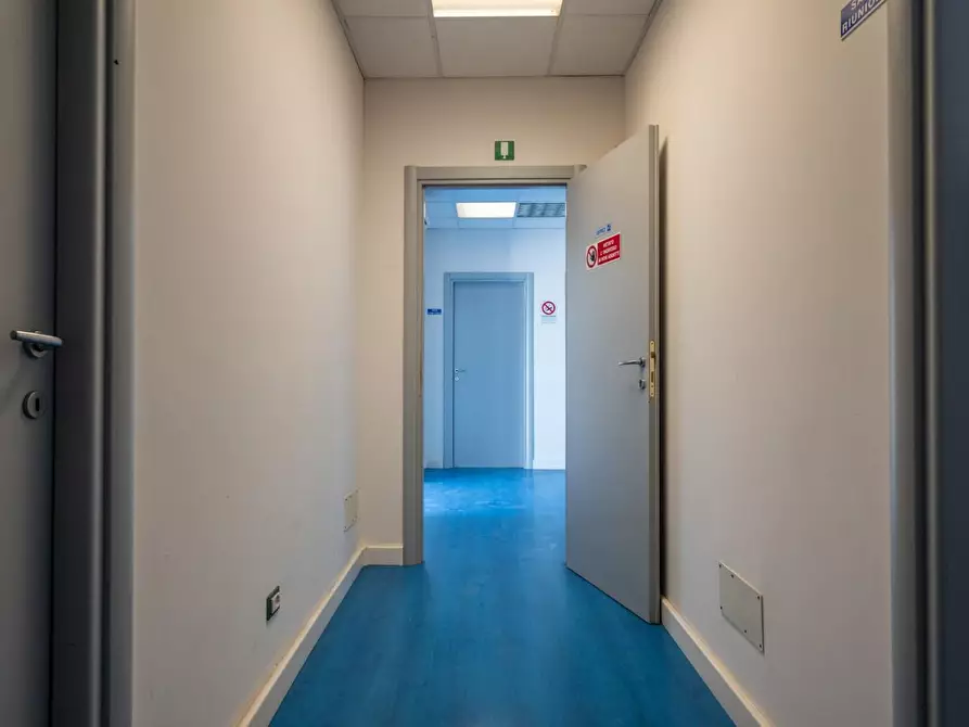 Immagine 40 di Attività artigianale in affitto  a Bientina