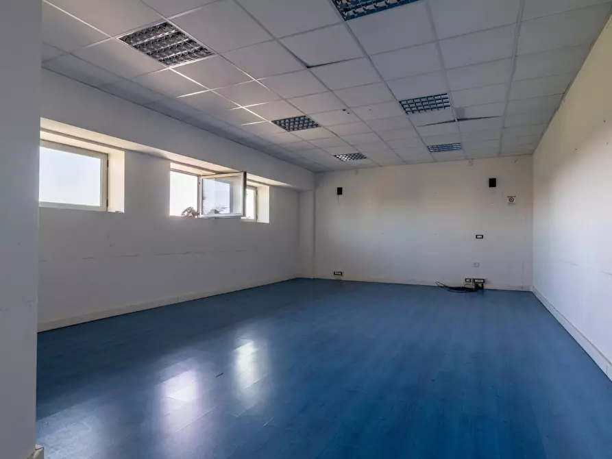 Immagine 51 di Attività artigianale in affitto  a Bientina