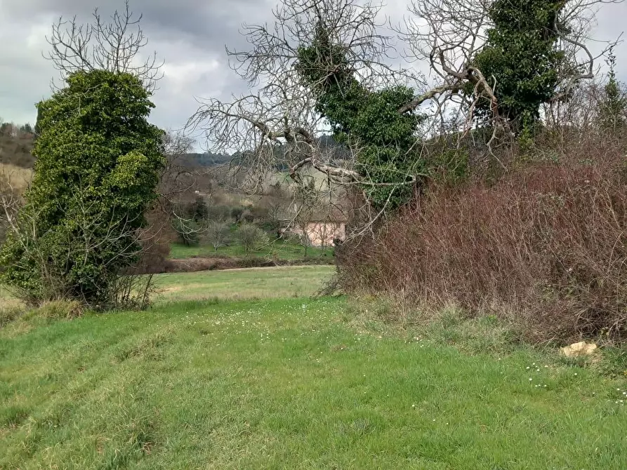 Immagine 11 di Terreno agricolo in vendita  a Casciana Terme Lari