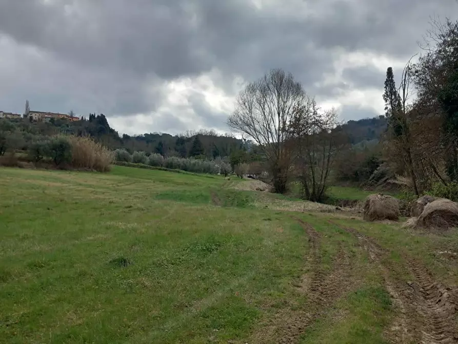 Immagine 7 di Terreno agricolo in vendita  a Casciana Terme Lari