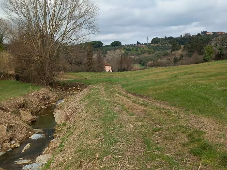 Immagine 16 di Terreno agricolo in vendita  a Casciana Terme Lari