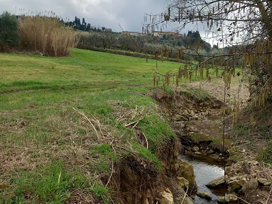 Immagine 5 di Terreno agricolo in vendita  a Casciana Terme Lari