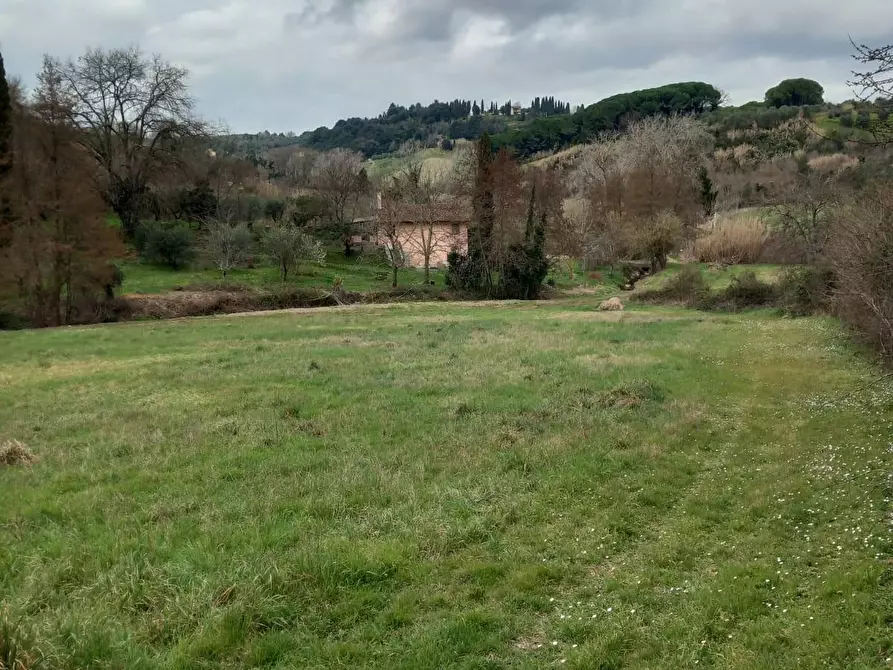 Immagine 13 di Terreno agricolo in vendita  a Casciana Terme Lari