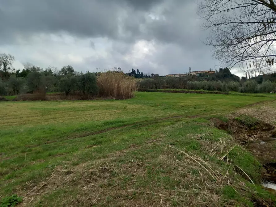 Immagine 2 di Terreno agricolo in vendita  a Casciana Terme Lari
