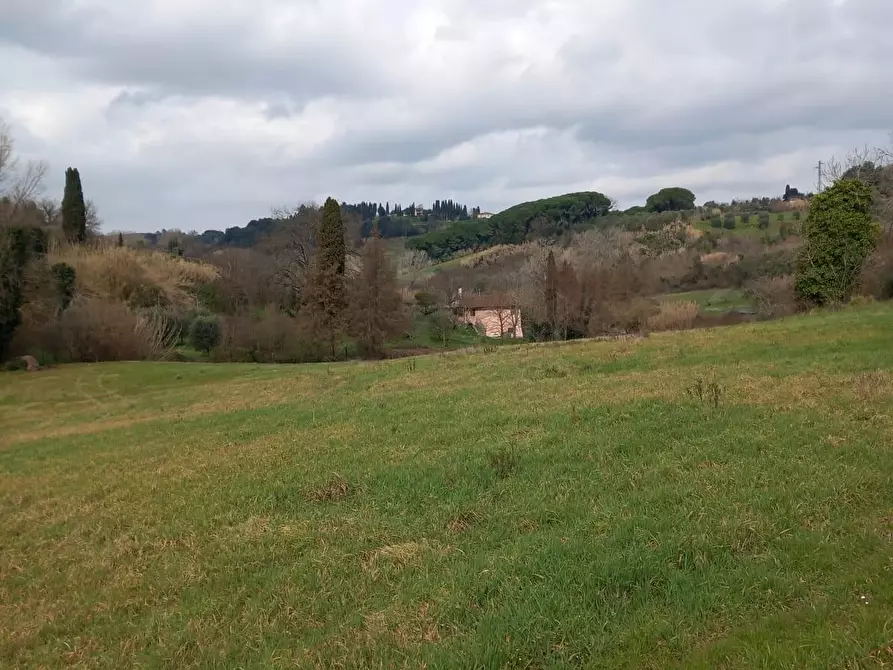 Immagine 18 di Terreno agricolo in vendita  a Casciana Terme Lari