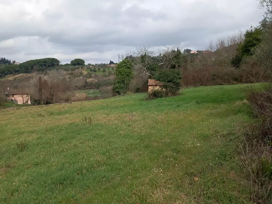 Immagine 12 di Terreno agricolo in vendita  a Casciana Terme Lari
