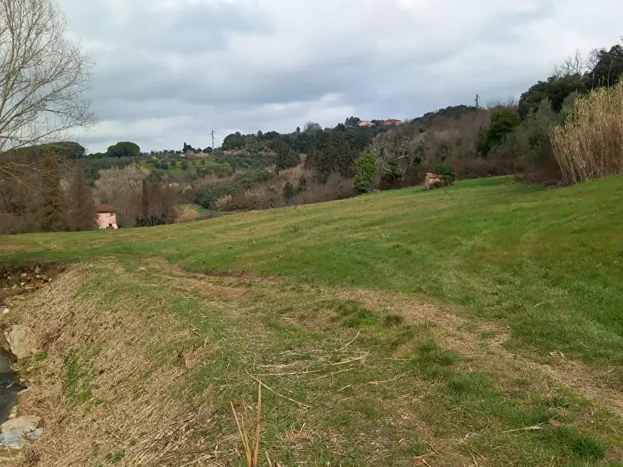 Immagine 15 di Terreno agricolo in vendita  a Casciana Terme Lari