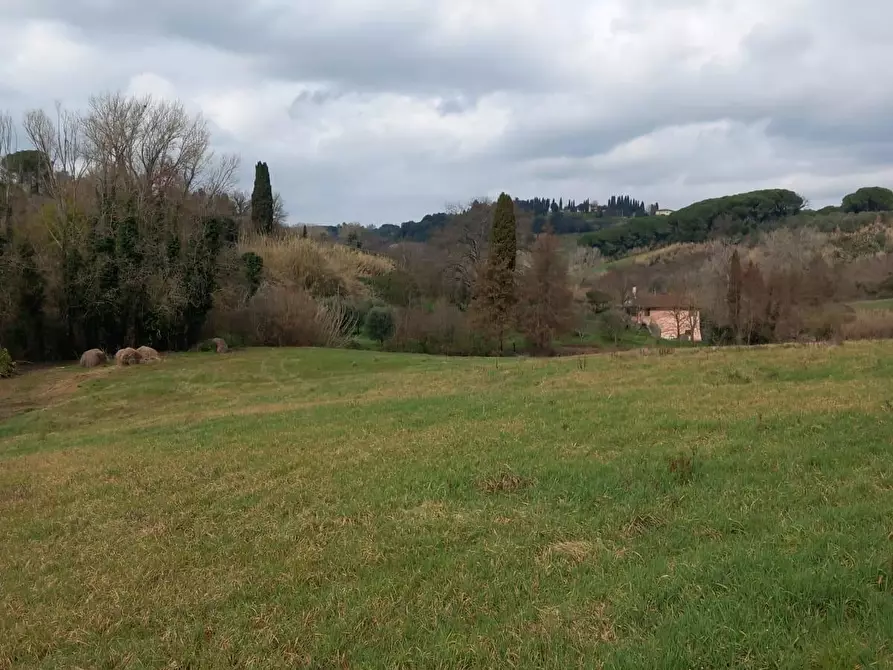 Immagine 17 di Terreno agricolo in vendita  a Casciana Terme Lari