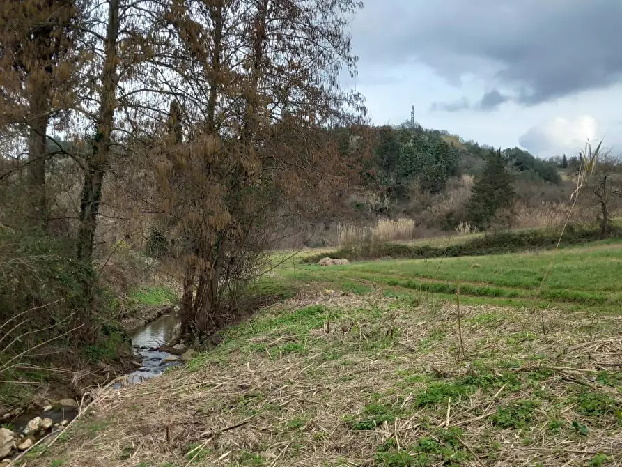 Immagine 9 di Terreno agricolo in vendita  a Casciana Terme Lari