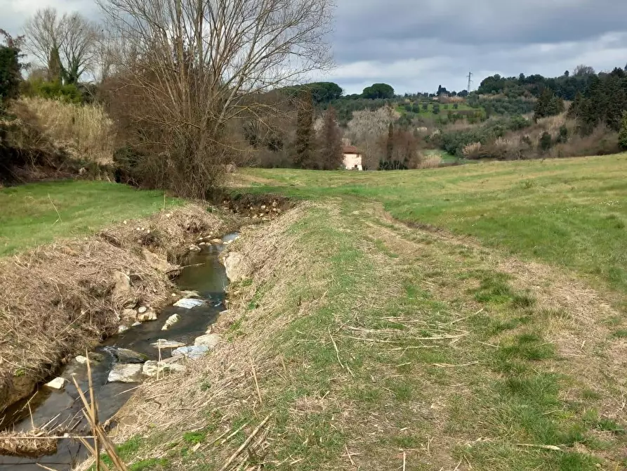 Immagine 14 di Terreno agricolo in vendita  a Casciana Terme Lari