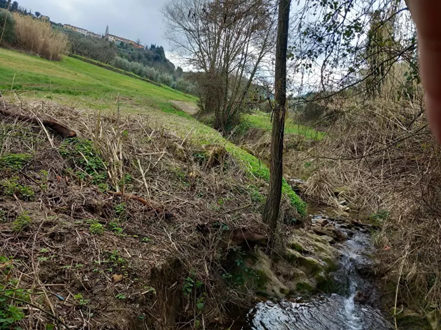 Immagine 8 di Terreno agricolo in vendita  a Casciana Terme Lari