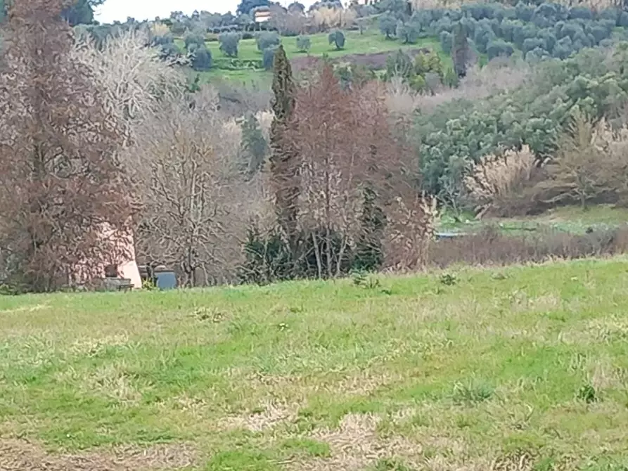 Immagine 6 di Terreno agricolo in vendita  a Casciana Terme Lari