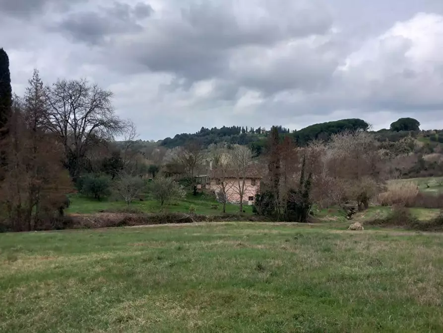 Immagine 10 di Terreno agricolo in vendita  a Casciana Terme Lari