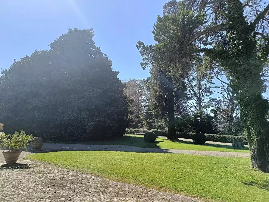 Immagine 2 di Villa in vendita  a Pisa