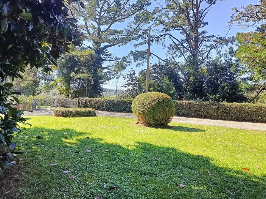 Immagine 5 di Villa in vendita  a Pisa