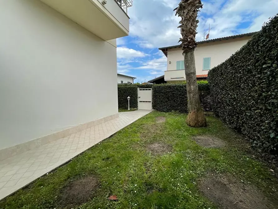 Immagine 6 di Casa bifamiliare in vendita  a Montignoso