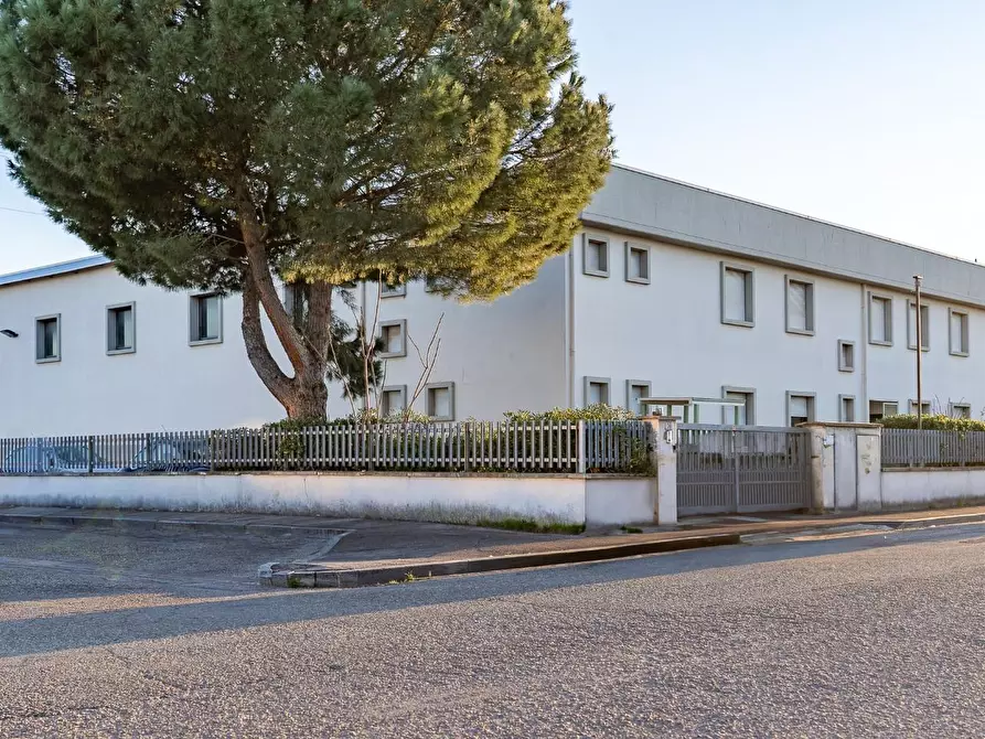 Immagine 2 di Attività artigianale in vendita  a Empoli