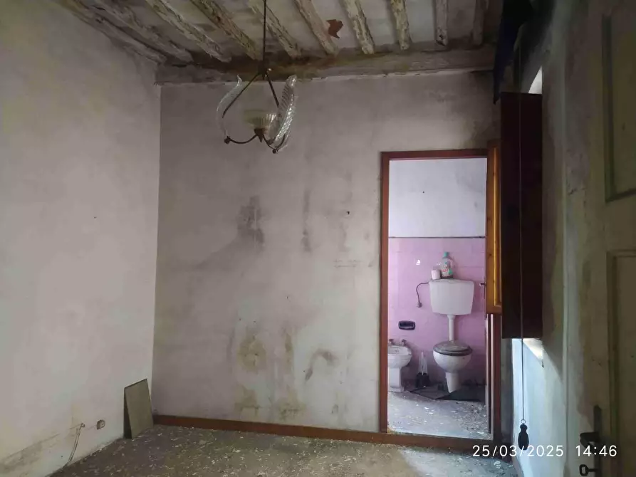 Immagine 6 di Terratetto in vendita  a Chiesina Uzzanese