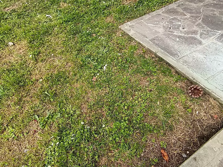 Immagine 19 di Appartamento in vendita  a Empoli