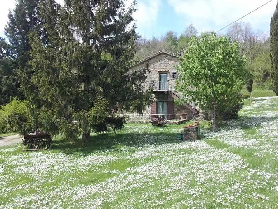 Immagine 4 di Agriturismo in vendita  a Reggello