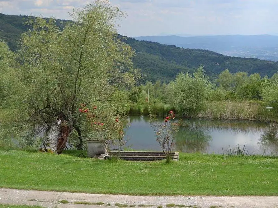 Immagine 3 di Agriturismo in vendita  a Reggello