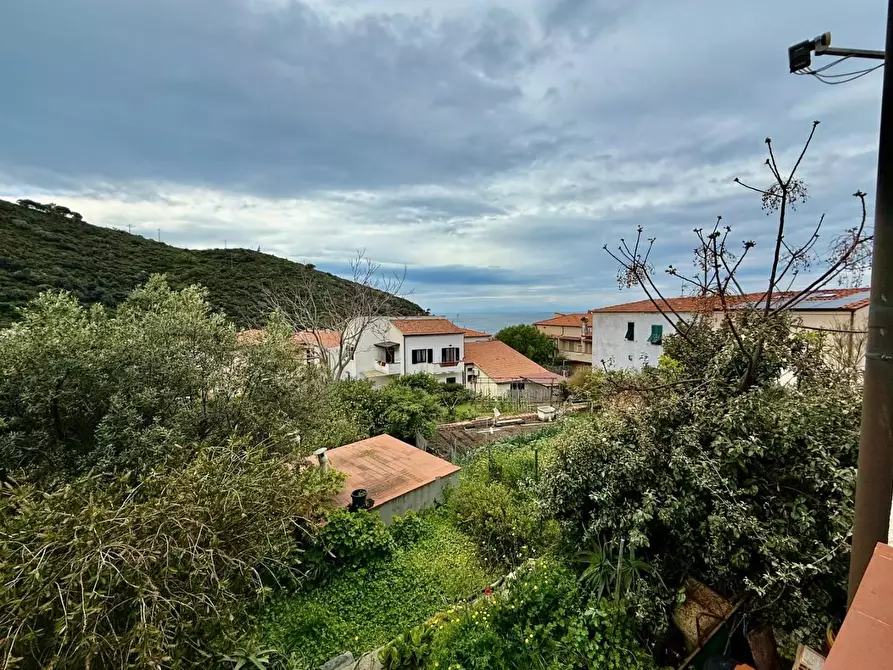 Immagine 13 di Appartamento in vendita  a Marciana