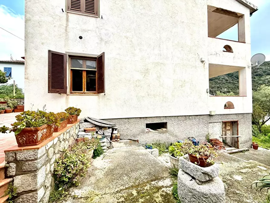 Immagine 20 di Appartamento in vendita  a Marciana