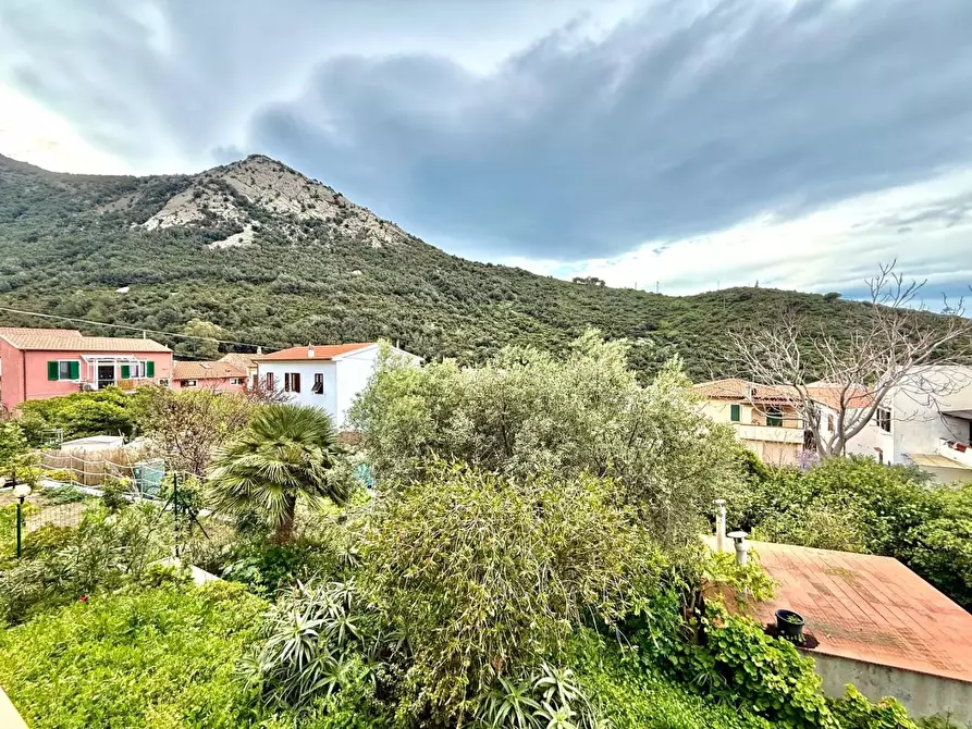 Immagine 14 di Appartamento in vendita  a Marciana