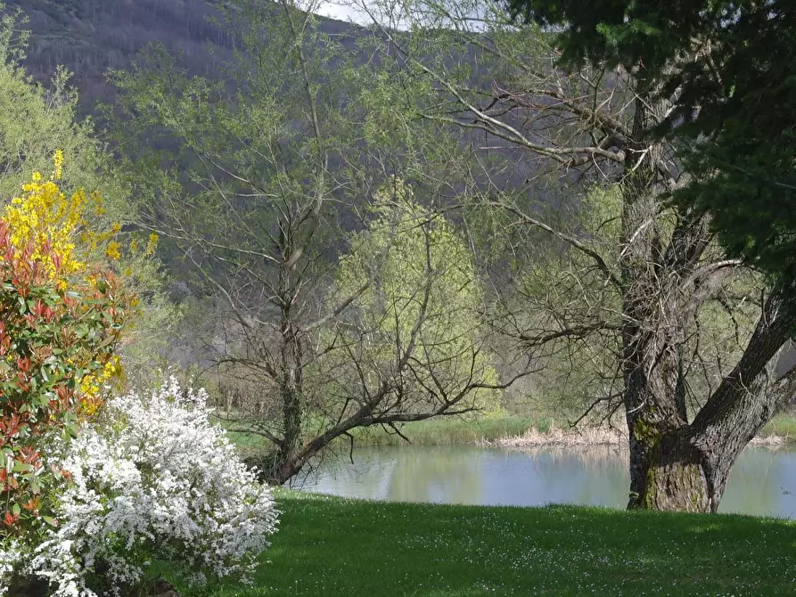 Immagine 2 di Terreno agricolo in vendita  a Reggello