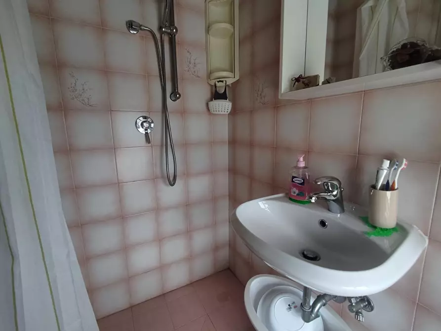 Immagine 17 di Appartamento in vendita  a Pietrasanta