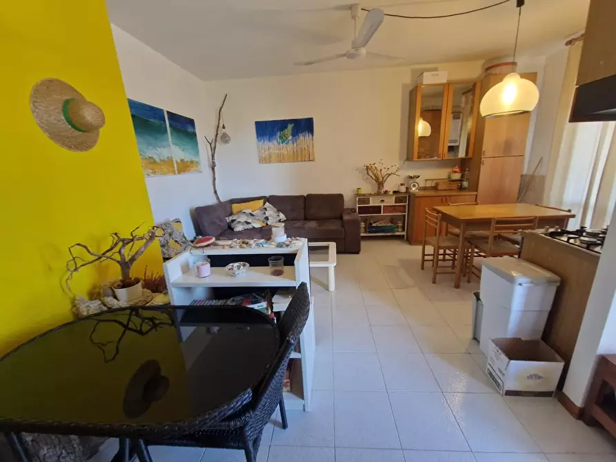 Immagine 4 di Appartamento in affitto  a Rosignano Marittimo