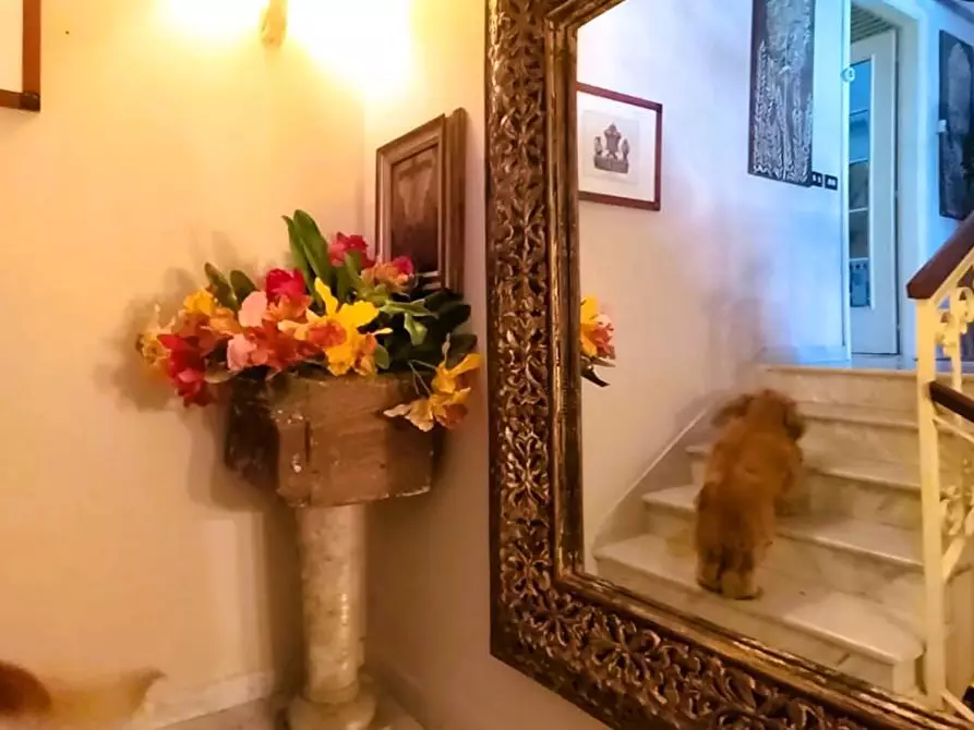 Immagine 9 di Villetta a schiera in vendita  a Carrara