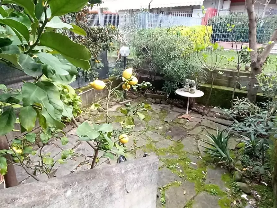 Immagine 5 di Villetta a schiera in vendita  a Carrara