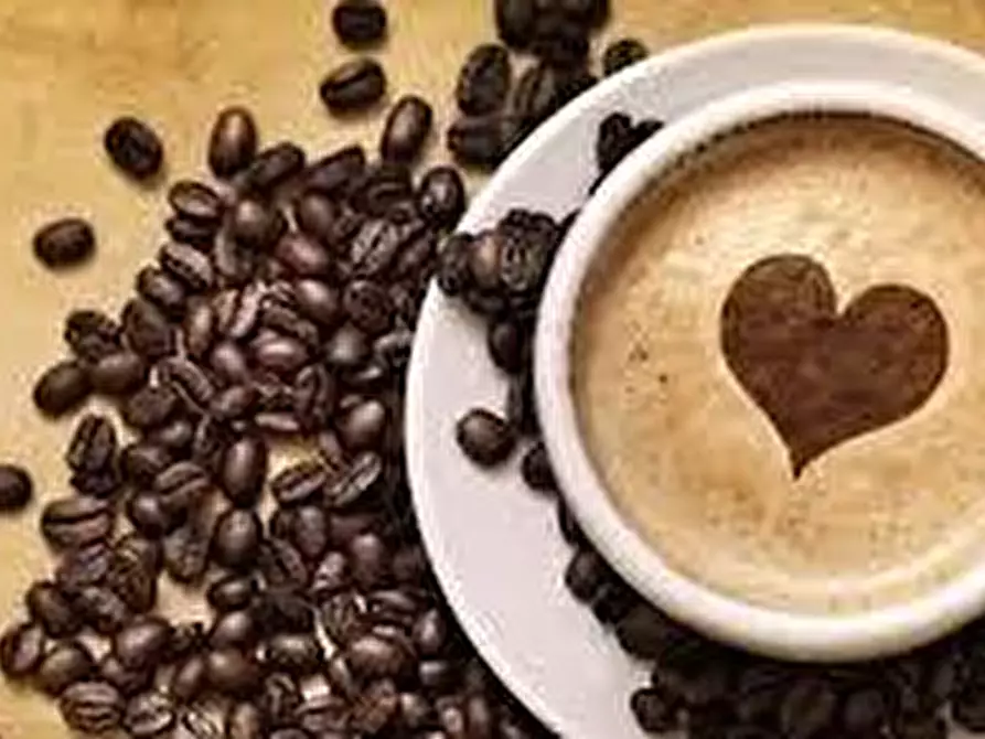 Immagine 7 di Bar / Ristorante in vendita  a Torino