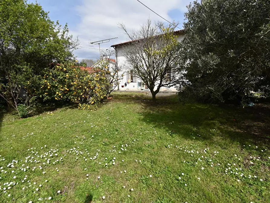 Immagine 34 di Terratetto in vendita  a San Giuliano Terme