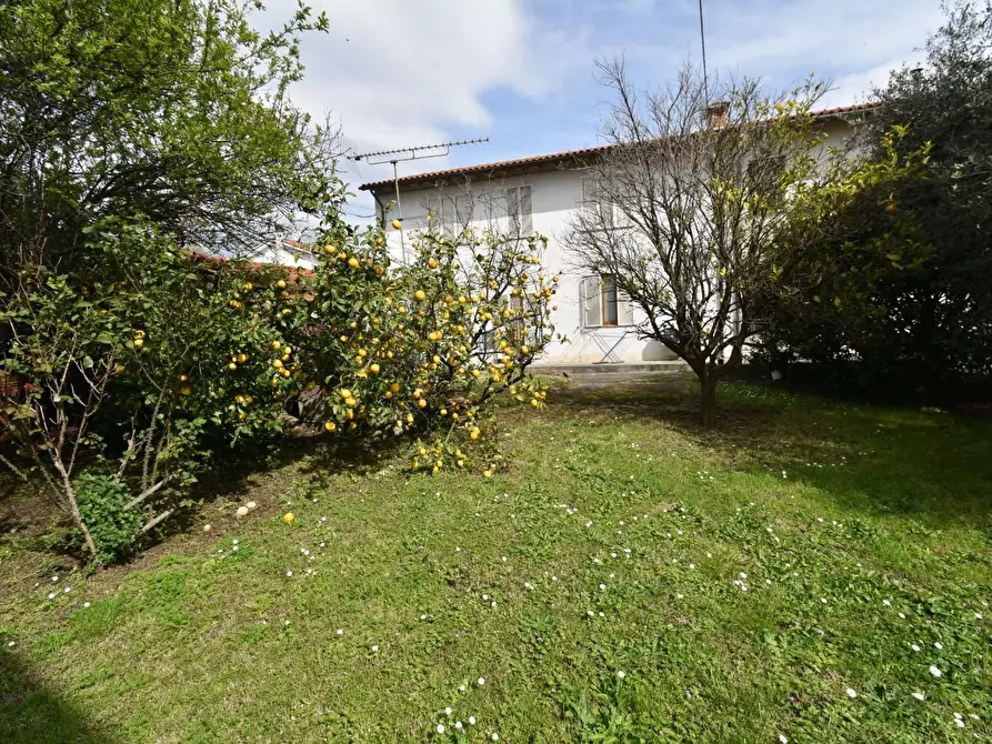 Immagine 35 di Terratetto in vendita  a San Giuliano Terme