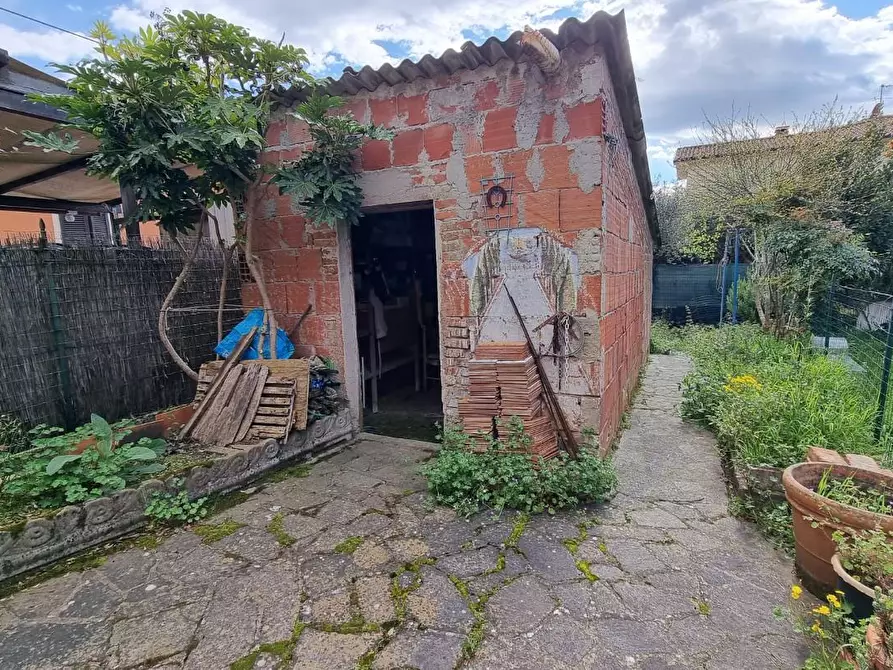 Immagine 8 di Terratetto in vendita  a Santa Maria A Monte