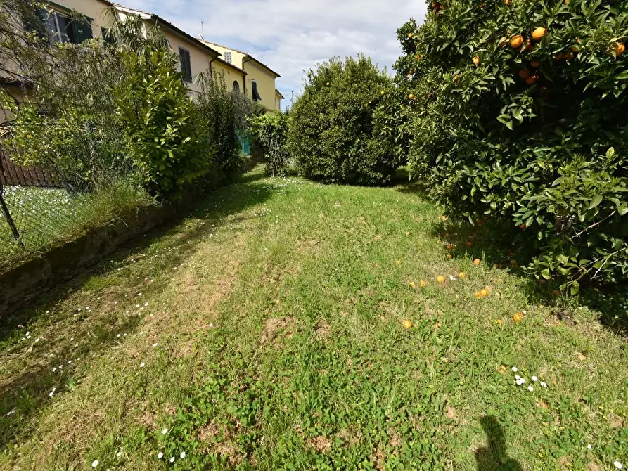 Immagine 33 di Terratetto in vendita  a San Giuliano Terme
