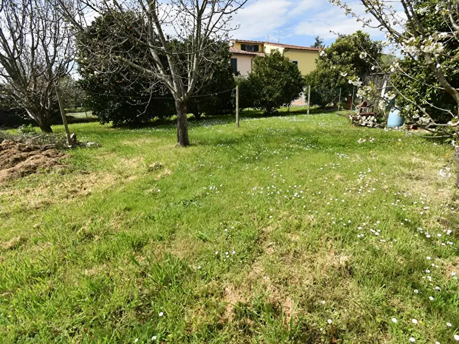 Immagine 39 di Terratetto in vendita  a San Giuliano Terme