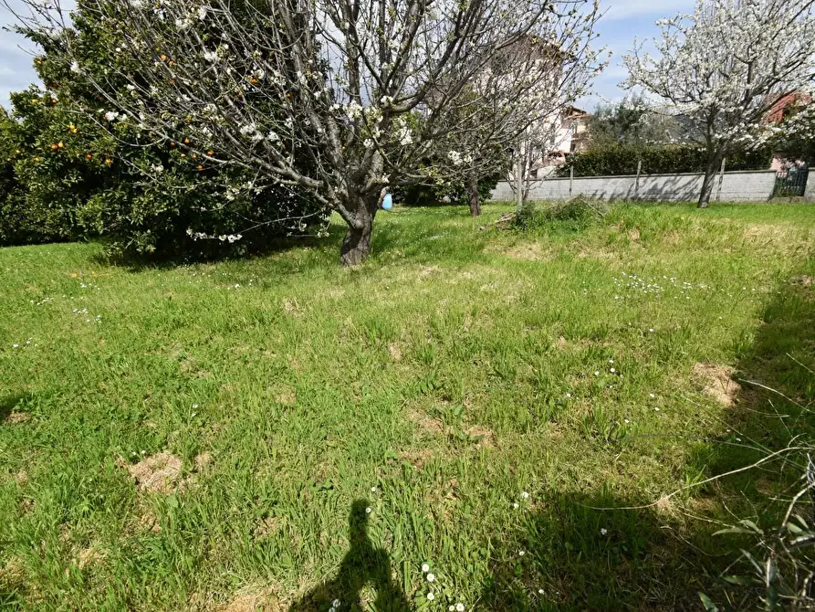 Immagine 36 di Terratetto in vendita  a San Giuliano Terme