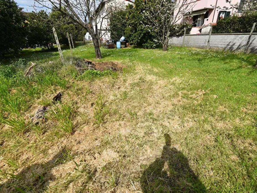 Immagine 38 di Terratetto in vendita  a San Giuliano Terme